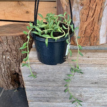 Load image into Gallery viewer, String of Bananas