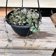 Load image into Gallery viewer, Chain of Hearts - Large