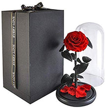 Load image into Gallery viewer, The Enchanted Rose - Everlasting