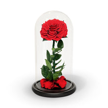Load image into Gallery viewer, The Enchanted Rose - Everlasting