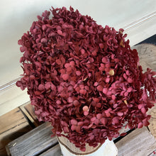 Load image into Gallery viewer, Dried Hydrangea
