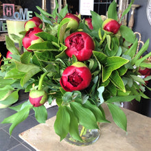 Load image into Gallery viewer, Peonies