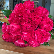 Load image into Gallery viewer, Peonies
