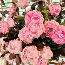 Load image into Gallery viewer, Peonies