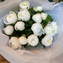 Load image into Gallery viewer, Peonies