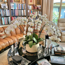Load image into Gallery viewer, Phalaenopsis Planter