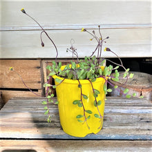 Load image into Gallery viewer, Ruby Necklace