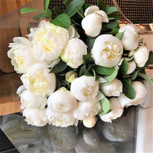 Load image into Gallery viewer, Peonies
