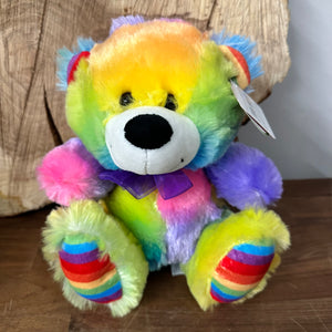 Rainbow Teddy