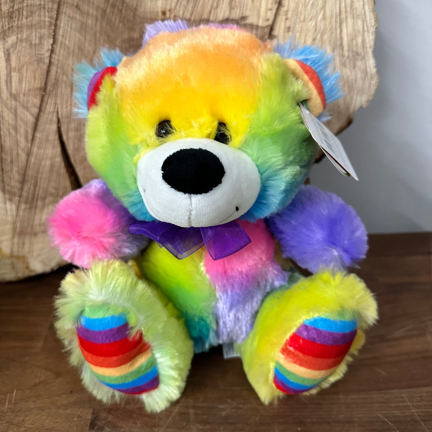Rainbow Teddy