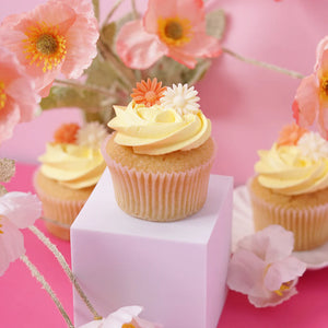 Cupcakes 1 Dozen