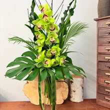 Load image into Gallery viewer, Cymbidium Orchid Arrangement
