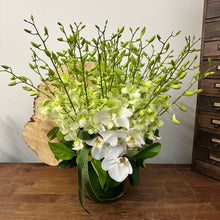 Load image into Gallery viewer, Singapore Orchids
