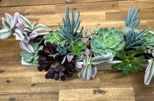 Load image into Gallery viewer, Succulent Planter Trough - Fresh
