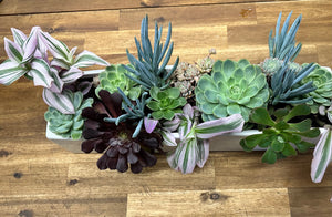 Succulent Planter Trough - Fresh