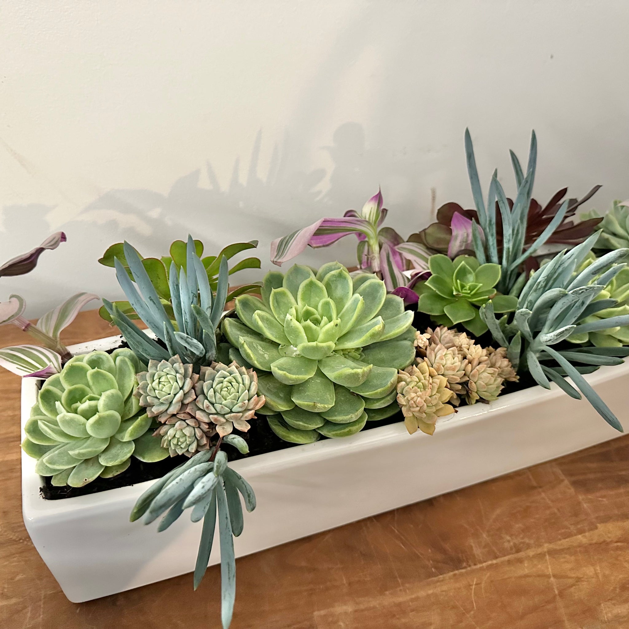 trough for succulents Succulent Planter Trough