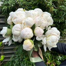 Load image into Gallery viewer, Peonies
