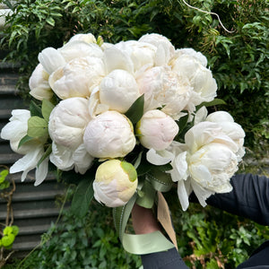 Peonies