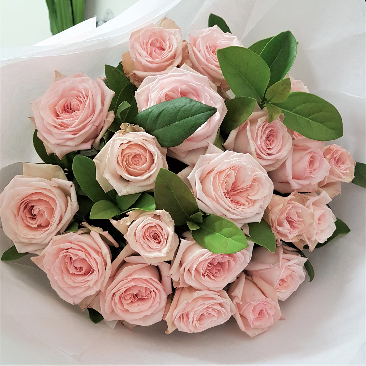 Chic Roses – Flair flowers & design
