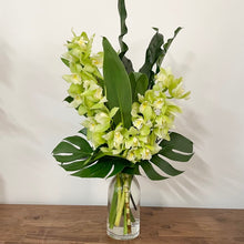 Load image into Gallery viewer, Cymbidium Orchid Arrangement
