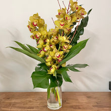 Load image into Gallery viewer, Cymbidium Orchid Arrangement

