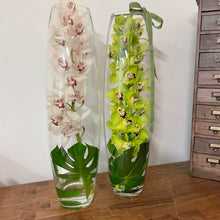 Load image into Gallery viewer, Submerged Cymbidium

