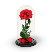 Load image into Gallery viewer, The Enchanted Rose - Everlasting
