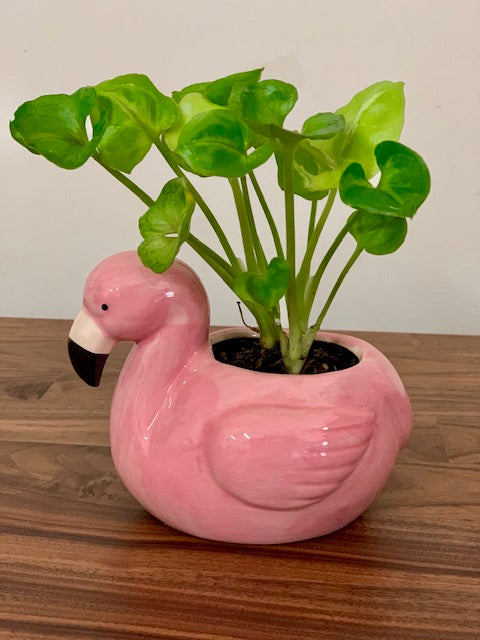 Flamingo Planter