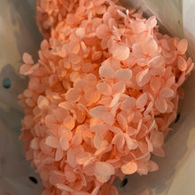 Load image into Gallery viewer, Dried Hydrangea
