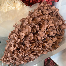 Load image into Gallery viewer, Dried Hydrangea
