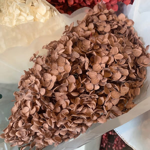 Dried Hydrangea