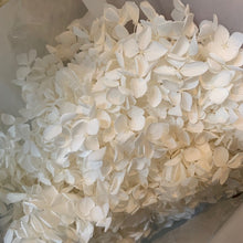 Load image into Gallery viewer, Dried Hydrangea
