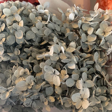 Load image into Gallery viewer, Dried Hydrangea
