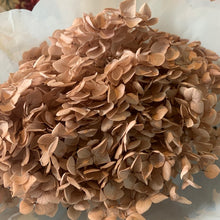 Load image into Gallery viewer, Dried Hydrangea
