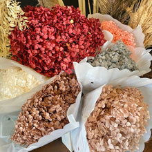 Load image into Gallery viewer, Dried Hydrangea
