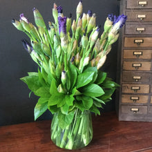 Load image into Gallery viewer, * Florist Choice Seasonal Arrangement - Always Recommended
