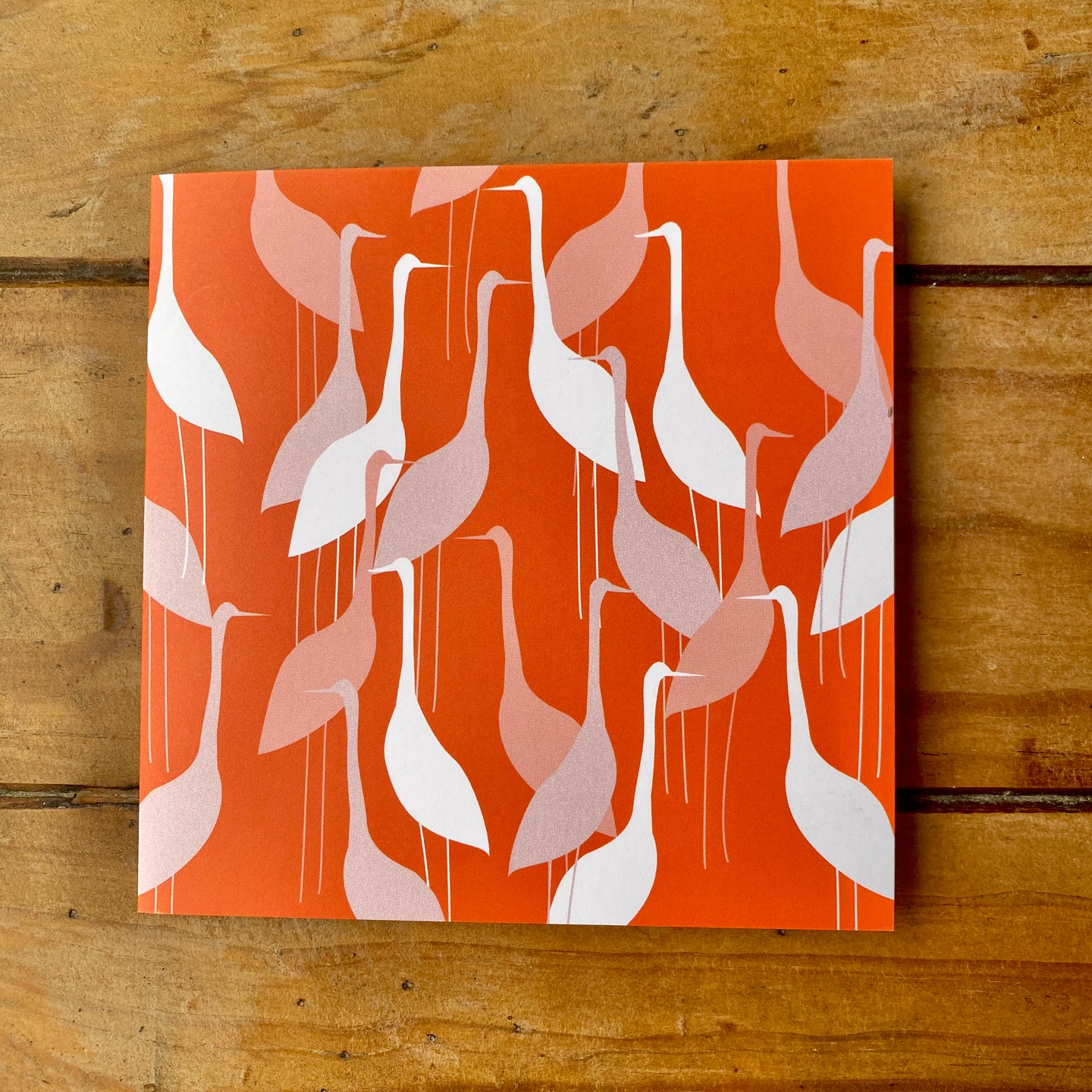 Duck Parade Gift Card