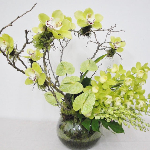 Ikebana Styled Orchids