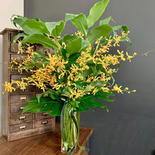 Load image into Gallery viewer, * Florist Choice Seasonal Arrangement - Always Recommended
