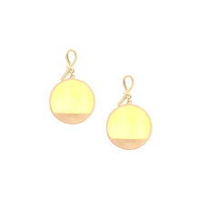 Load image into Gallery viewer, Resin Circle Knot Earrings
