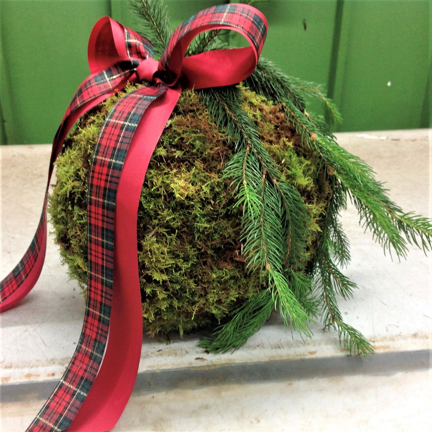 Moss 'Plum Pudding' Table Centre Piece