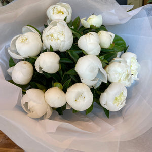 Peonies