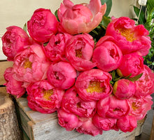 Load image into Gallery viewer, Peonies
