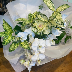 Botanical Orchid Bouquet