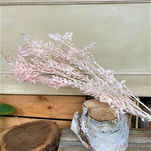 Load image into Gallery viewer, Dried Ruscus
