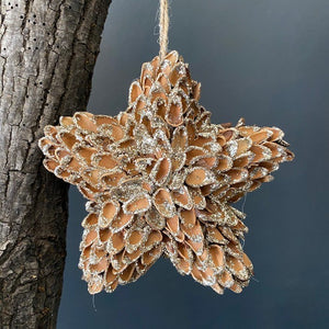 Wooden Glittered Star Hanging Ornament