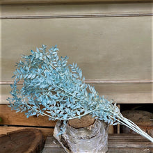 Load image into Gallery viewer, Dried Ruscus
