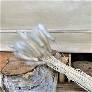 Dried Bunny Tails