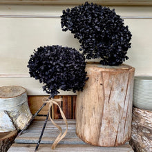 Load image into Gallery viewer, Dried Hydrangea
