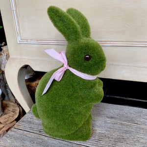 Large Bunny